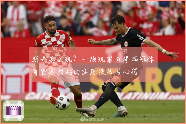 新手怎么玩？一线玩家分享满冠体育官方网站的实用技巧与心得