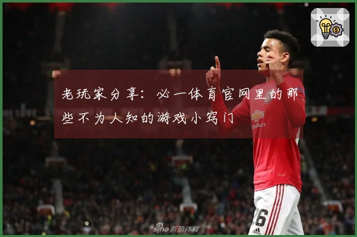 老玩家分享：必一体育官网里的那些不为人知的游戏小窍门