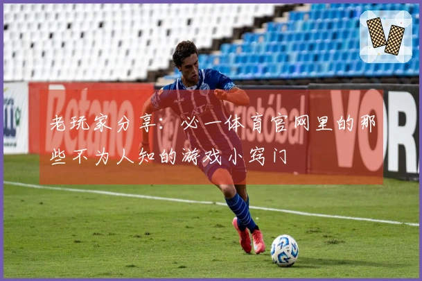 老玩家分享:必一体育官网里的那些不为人知的游戏小窍门